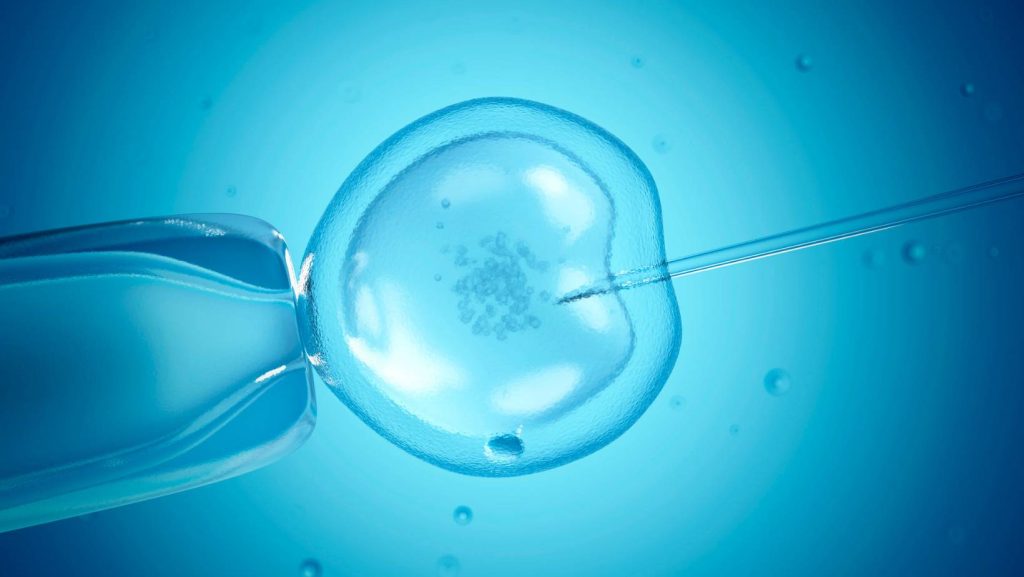 In-vitro fertilisation or IVF refers to the process of fertilising a woman’s egg outside of the body. The is different from natural fertilisation where the sperm fertilises the egg inside the woman’s uterus.